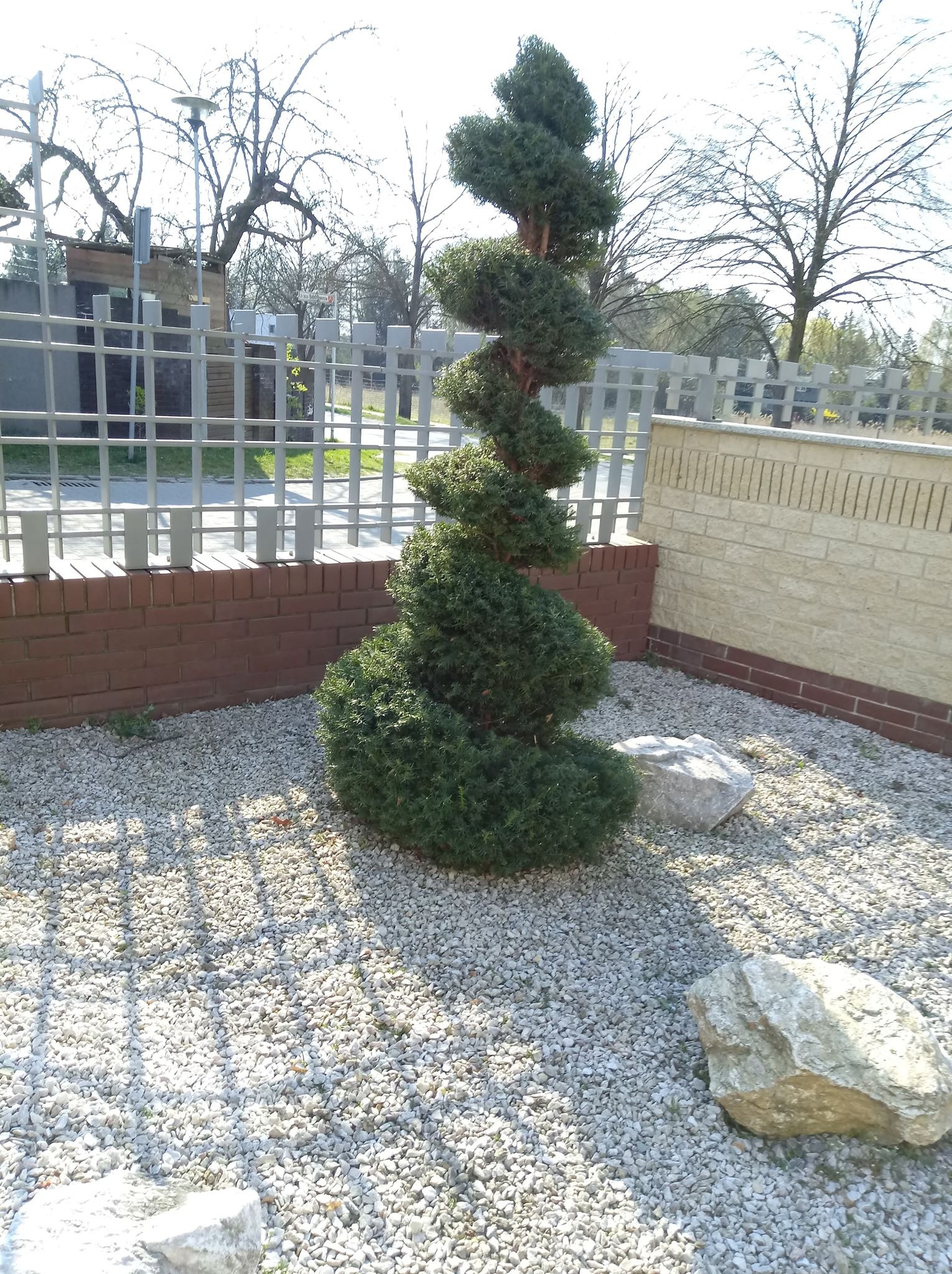 Spiralnie formowany krzew iglasty na tle szarego żwiru, z dekoracyjnymi kamieniami i niskim murem z cegły i piaskowca.