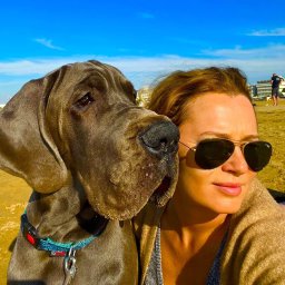 DAVIDOVSKA SPÓŁKA Z OGRANICZONĄ ODPOWIEDZIALNOŚCIĄ - Nowe Domy Warszawa