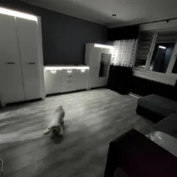 Salon z szarą podłogą imitującą drewno, białymi meblami z podświetleniem LED i psem rasy Maltańczyk leżącym na podłodze.