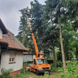 Pomarańczowy podnośnik koszowy ustawiony obok domu z czerwoną dachówką, pracownik w koszu na wysokości przycina wysokie drzewo iglaste.