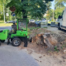 Frezowanie pnia drzewa pod budowę chodnika