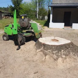 Zielona frezarka do pni drzew stoi obok pnia po wyciętym drzewie, otoczonego wiórami. W tle budynek gospodarczy i dom.
