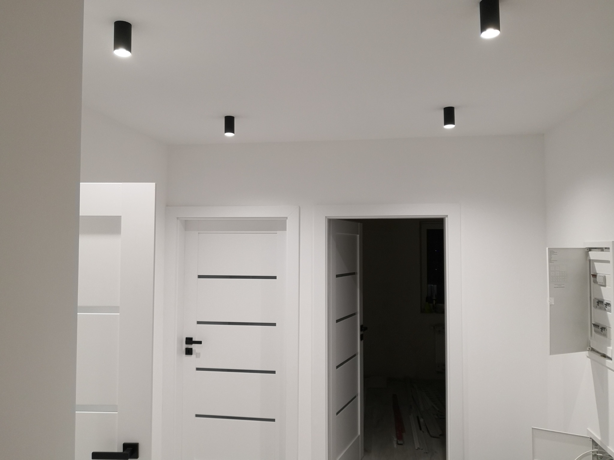 Nowoczesne wnętrze w bieli z minimalistycznymi czarnymi lampami sufitowymi, widoczne dwie białe drzwi z czarnymi klamkami i poziomymi wstawkami, jedna otwarta ukazująca fragment wnętrza.