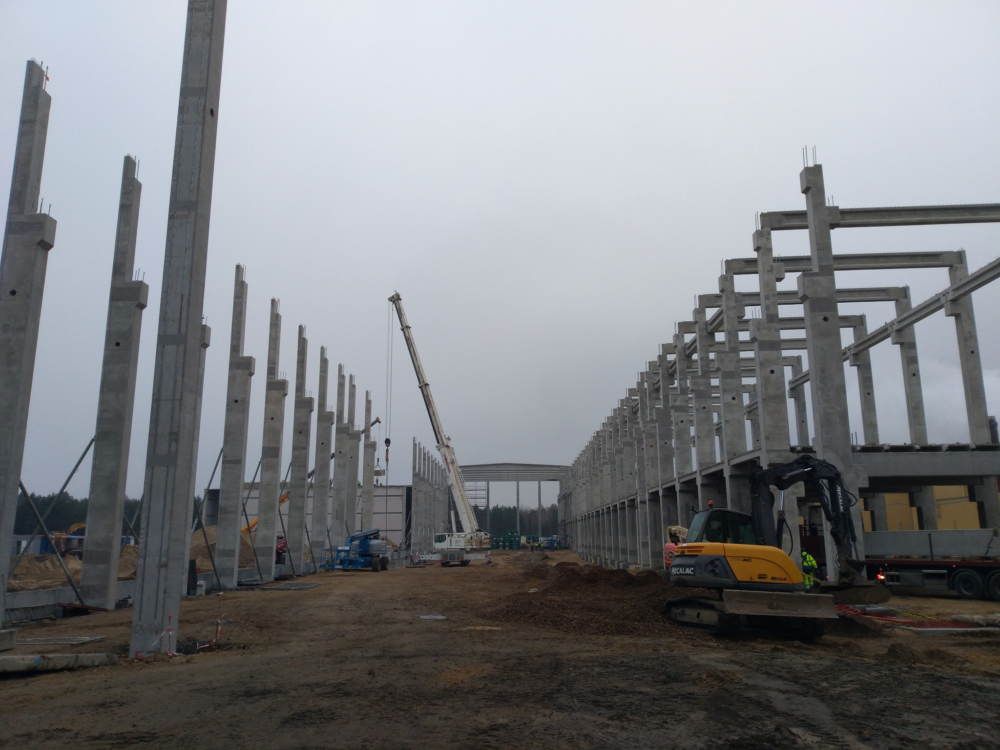 Budowa hali z żelbetu w Krotoszynie. Widoczne słupy konstrukcyjne, dźwig i koparka. Etap montażu elementów konstrukcyjnych.
