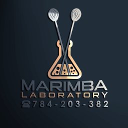 Marimba Laboratory Jakub Frączek - Nauka Gry na Bębnach Kraków