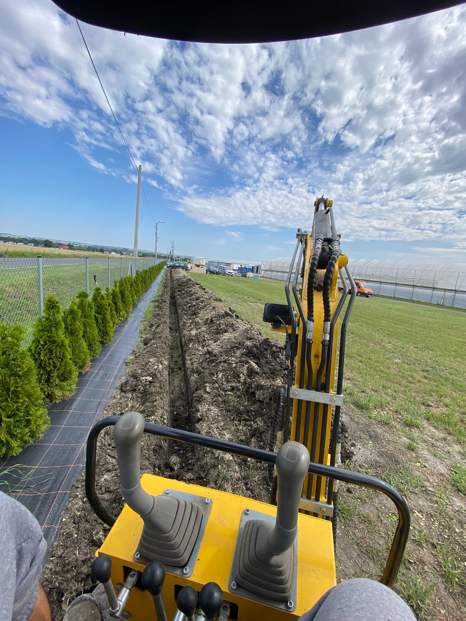 Widok z kabiny żółtej mini koparki na wykopany wąski rów wzdłuż rzędu tuj, z widoczną siatką zabezpieczającą grunt, w tle ogrodzenie z siatki i zabudowania gospodarcze pod błękitnym niebem z chmurami.