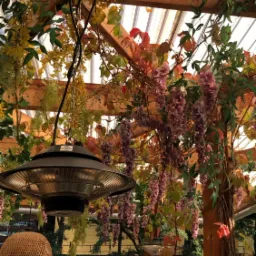 Zadaszona konstrukcja z drewnianych belek, porośnięta kwitnącymi pnączami w odcieniach żółci i fioletu, oświetlona wiszącą lampą grzewczą z metalowym kloszem i plecionym abażurem.