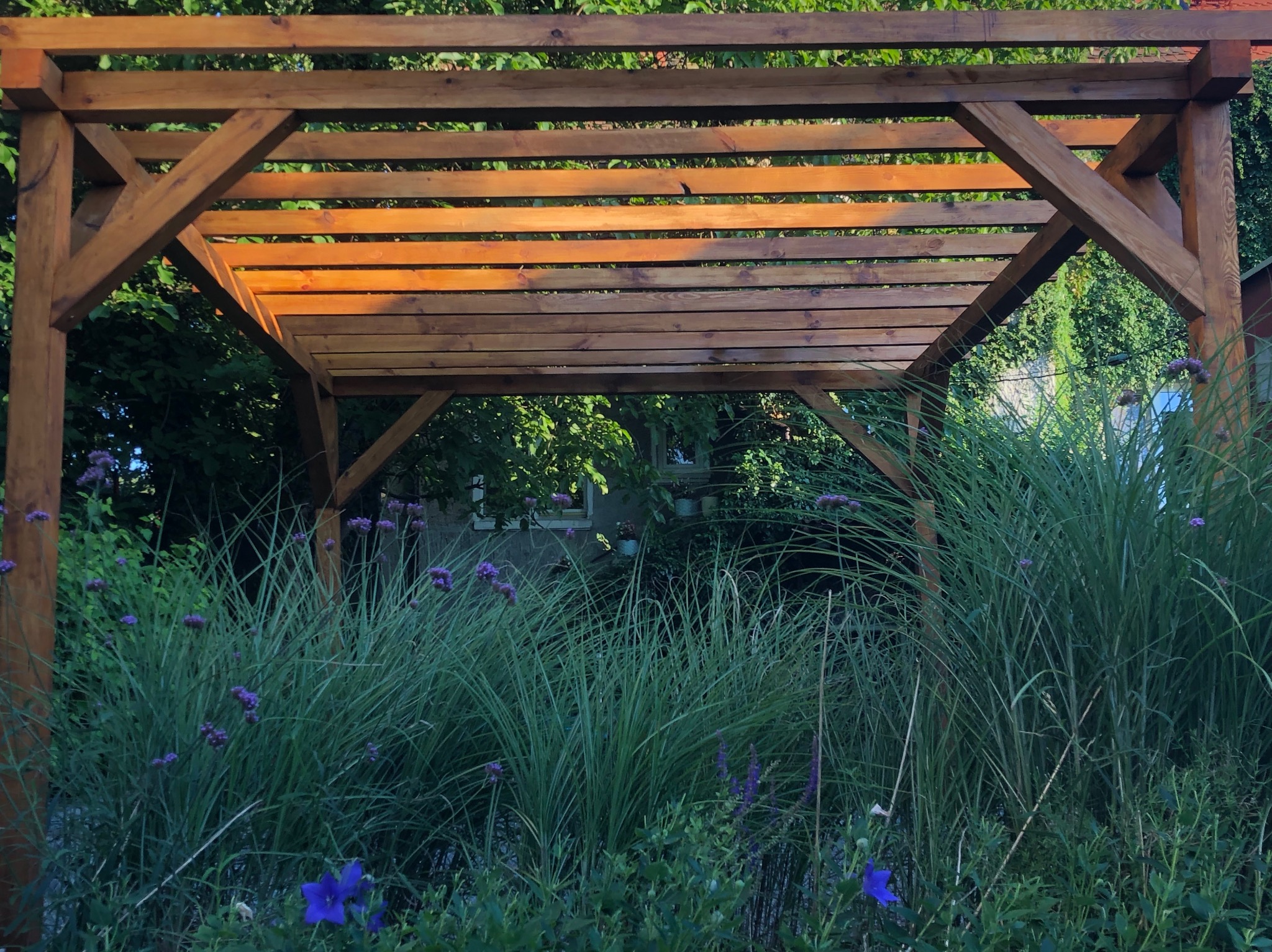 Drewniana konstrukcja z belek, prawdopodobnie pergola, widziana z dołu, otoczona bujną zielenią i fioletowymi kwiatami, w tle widoczny fragment budynku.