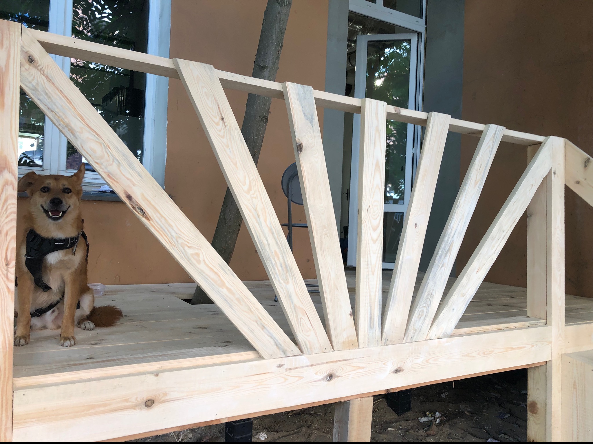 Taras dla stowarzyszenia „Nomada”