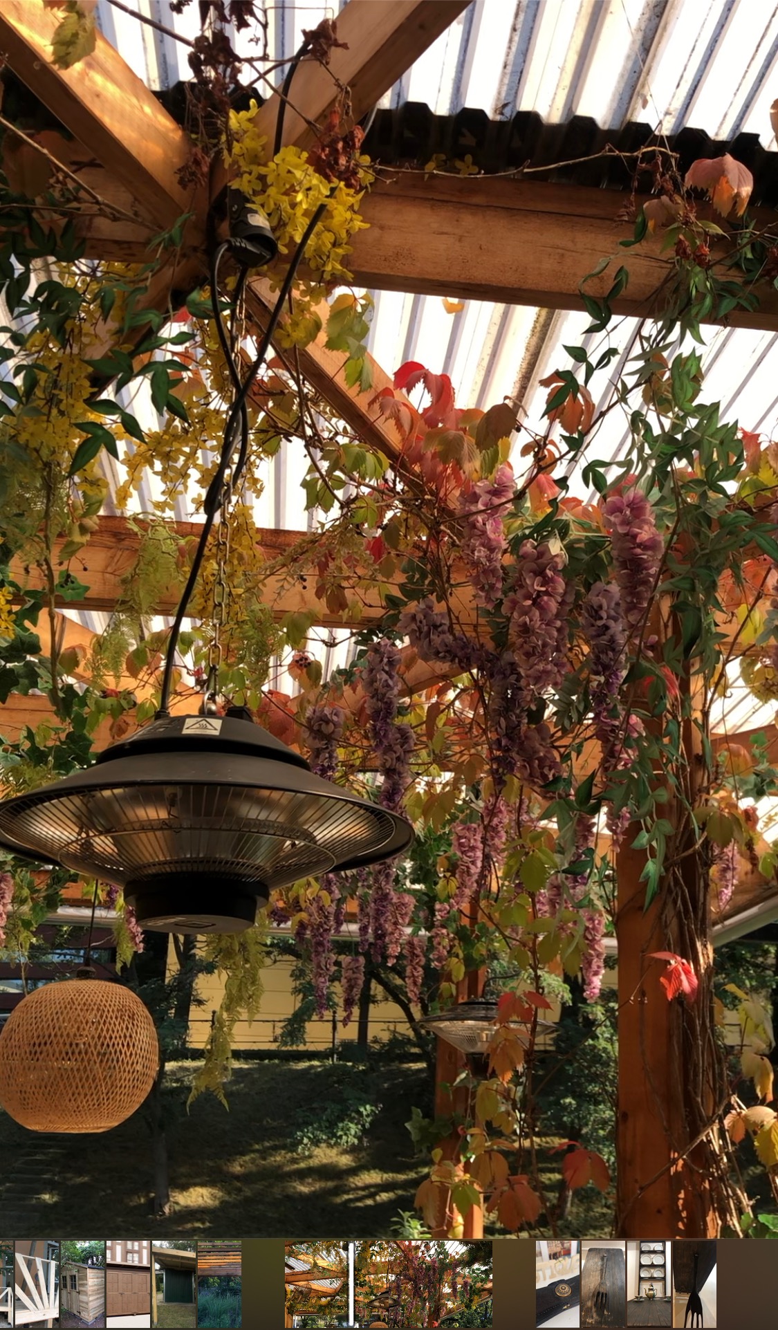 Zadaszona konstrukcja z drewnianych belek, porośnięta kwitnącymi pnączami w odcieniach żółci i fioletu, oświetlona wiszącą lampą grzewczą z metalowym kloszem i plecionym abażurem.