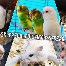 Akcesoria zoologiczne Konin 1