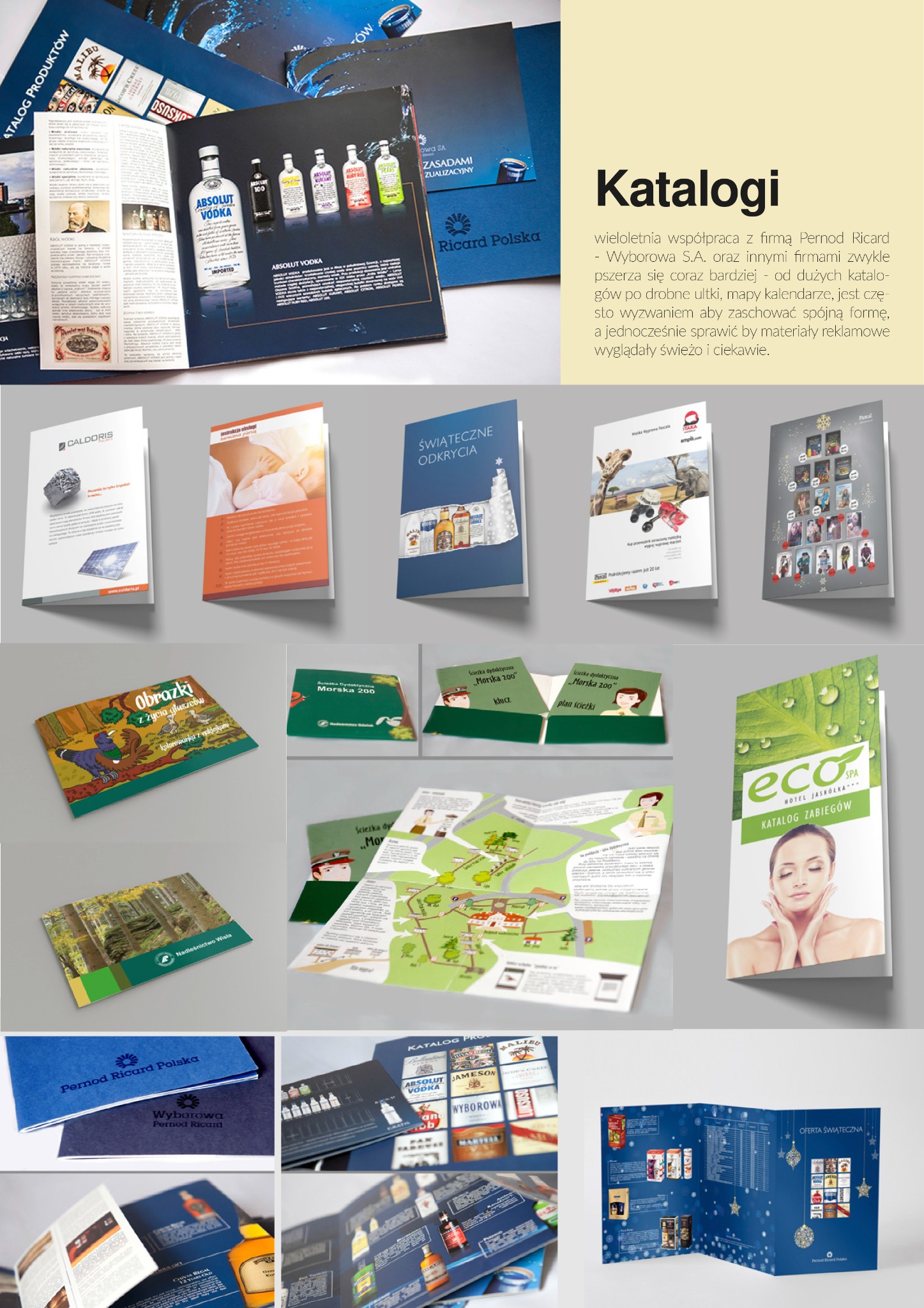 Zestawienie różnorodnych materiałów reklamowych, w tym katalogi produktowe, ulotki z mapami, broszury i kolorowanki, ułożone na szarym tle, prezentujące szeroki zakres usług poligraficznych.