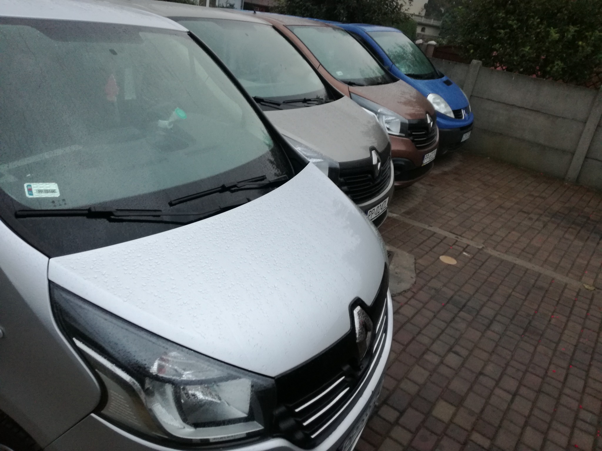 Rząd zaparkowanych samochodów dostawczych Renault Trafic w różnych kolorach (biały, brązowy, niebieski) na brukowanym parkingu w deszczowy dzień.