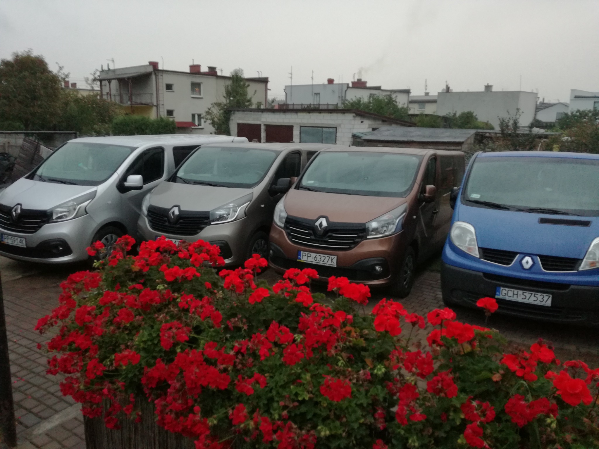 Flota czterech zaparkowanych busów Renault Trafic różnych kolorów (srebrny, szary, brązowy, niebieski) na tle zabudowań miejskich, z donicą pełną czerwonych pelargonii na pierwszym planie.