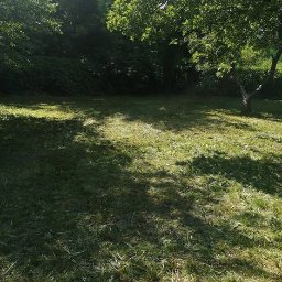 Pielęgnacja ogrodów Bydgoszcz 1