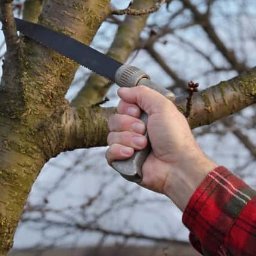 Pielęgnacja ogrodów Bydgoszcz 2