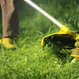 Pielęgnacja ogrodów Bydgoszcz 3