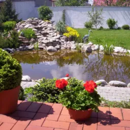 Oczko wodne z kaskadą skalną i dekoracyjną figurą czapli, otoczone zadbanym trawnikiem i roślinnością, z doniczkami z czerwonymi pelargoniami na pierwszym planie.