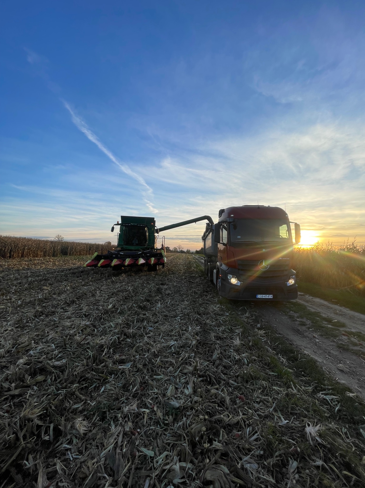 Kombajn zbożowy i ciężarówka podczas żniw kukurydzy na polu w promieniach zachodzącego słońca. Widok z perspektywy ziemi.