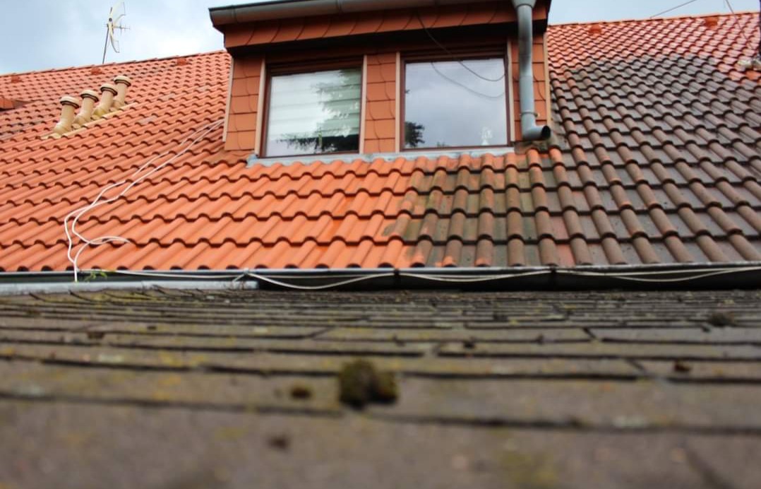 Dachówkowy dach z oknem połaciowym, widoczna różnica między umytą a zabrudzoną częścią, zarys rynny na pierwszym planie.