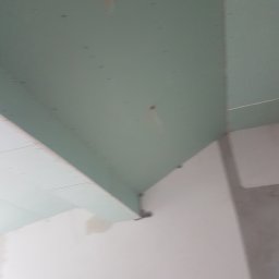 Z.A.S.O - Montaż zielonej płyty gipsowo-kartonowej na suficie, widoczne śruby mocujące i fragment ściany w surowym stanie.