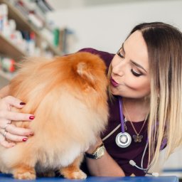 Dermatologiczny gabinet weterynaryjny i Salon Pielęgnacji Zwierząt Futrzak - Lekarz całuje pomarańczowego szpica miniaturowego w gabinecie weterynaryjnym w Olsztynie. Na szyi lekarki widoczny fioletowy stetoskop.