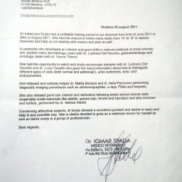 Weterynarz Olsztyn 3