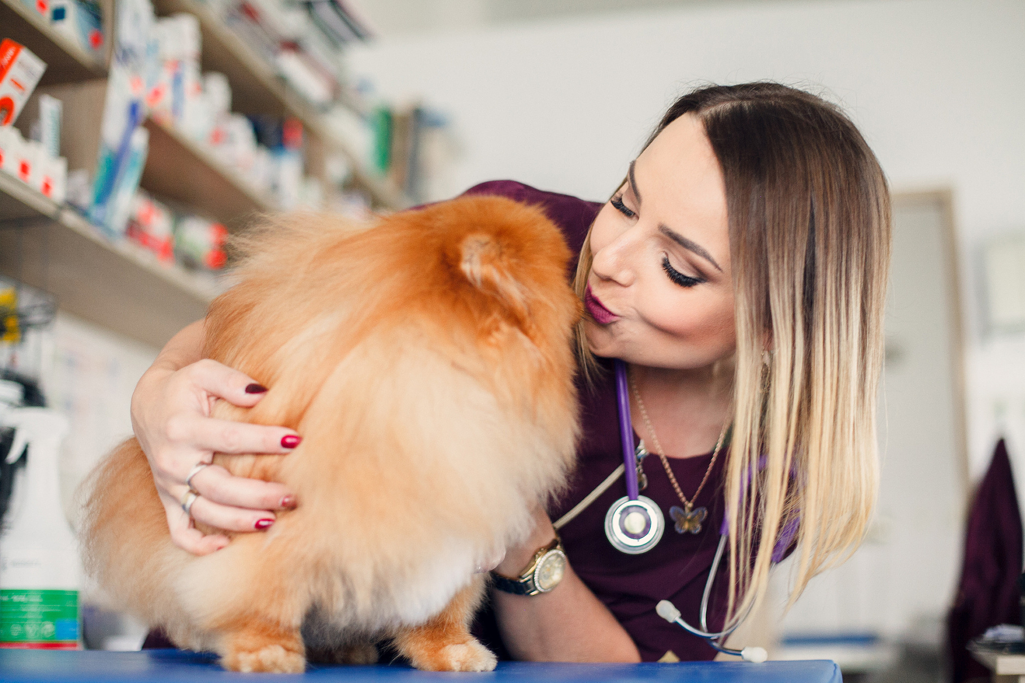 Lekarz całuje pomarańczowego szpica miniaturowego w gabinecie weterynaryjnym w Olsztynie. Na szyi lekarki widoczny fioletowy stetoskop.