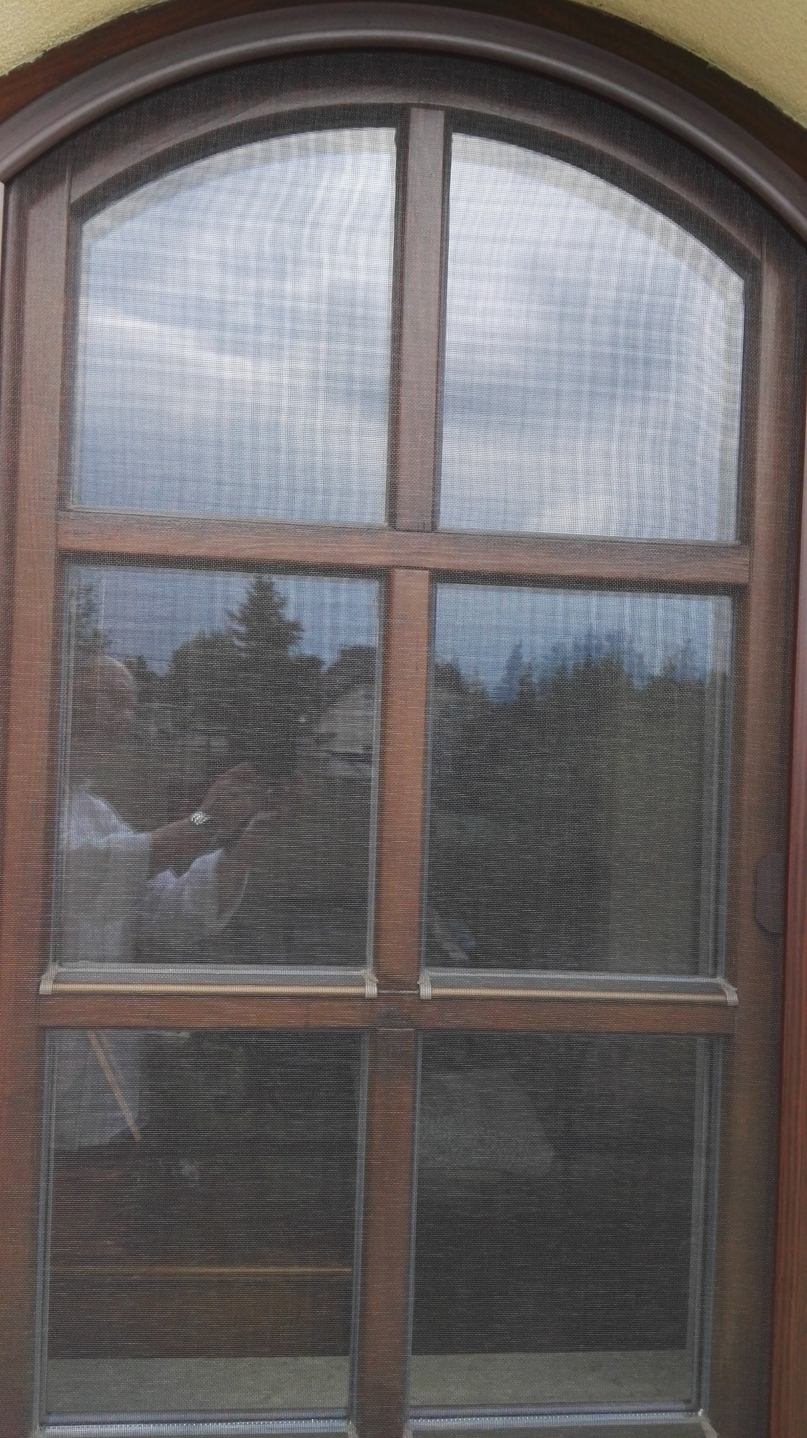 Moskitiera drzwiowa - łukowa.