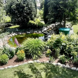 Ogród z małym stawem otoczonym kamieniami i różnorodną roślinnością ozdobną, w tle drzewa i krzewy, widoczny zielony zbiornik na wodę.
