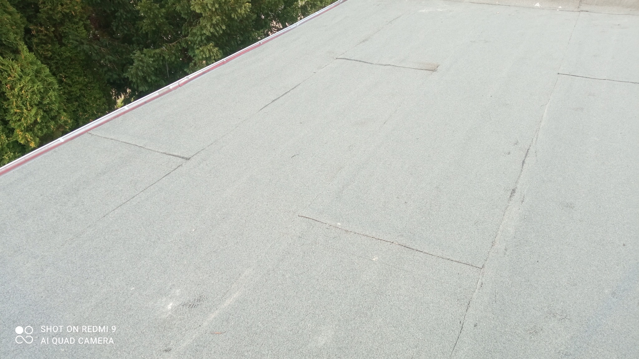 Szary, płaski dach pokryty papą z widocznymi łączeniami i niewielkimi zabrudzeniami, z fragmentem rynny w kolorze czerwonym i zielonymi drzewami w tle.