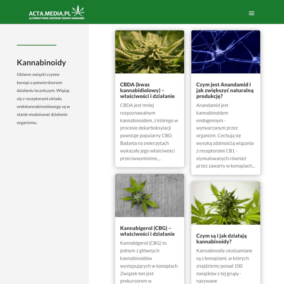 Responsywny projekt strony internetowej acta.media.pl z artykułami o kannabinoidach i ich wpływie na organizm, widoczne nagłówki i miniatury artykułów.