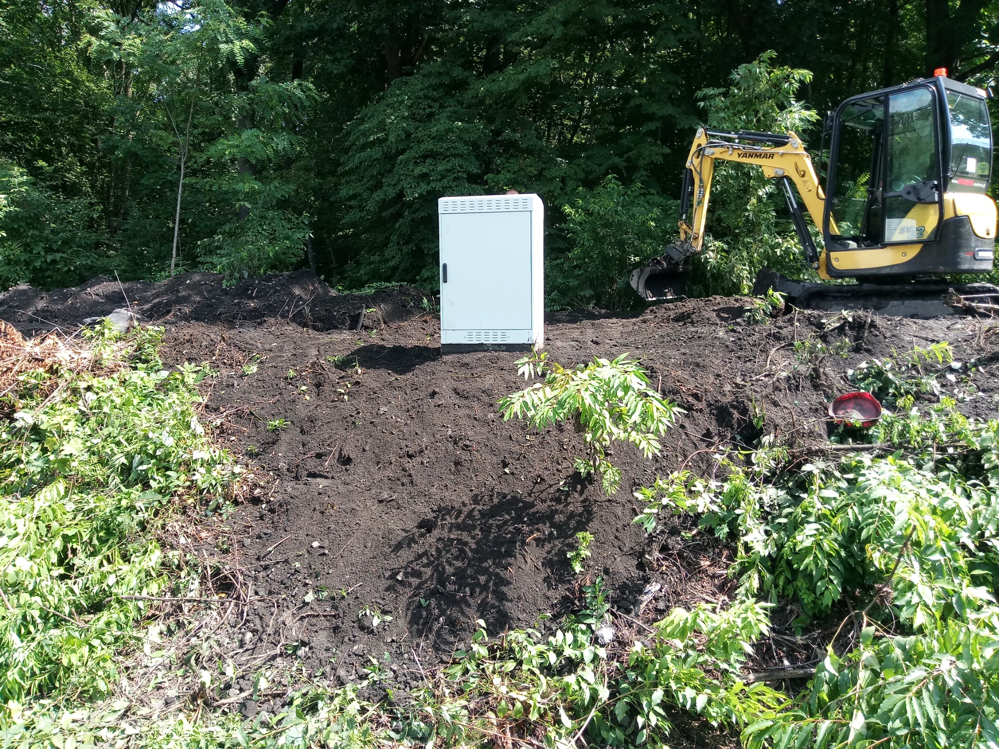 Żółta minikoparka Yanmar stoi obok białej szafy elektrycznej na świeżo usypanej ziemi z pozostałościami wycinki drzew i krzewów, w tle gęsty las.