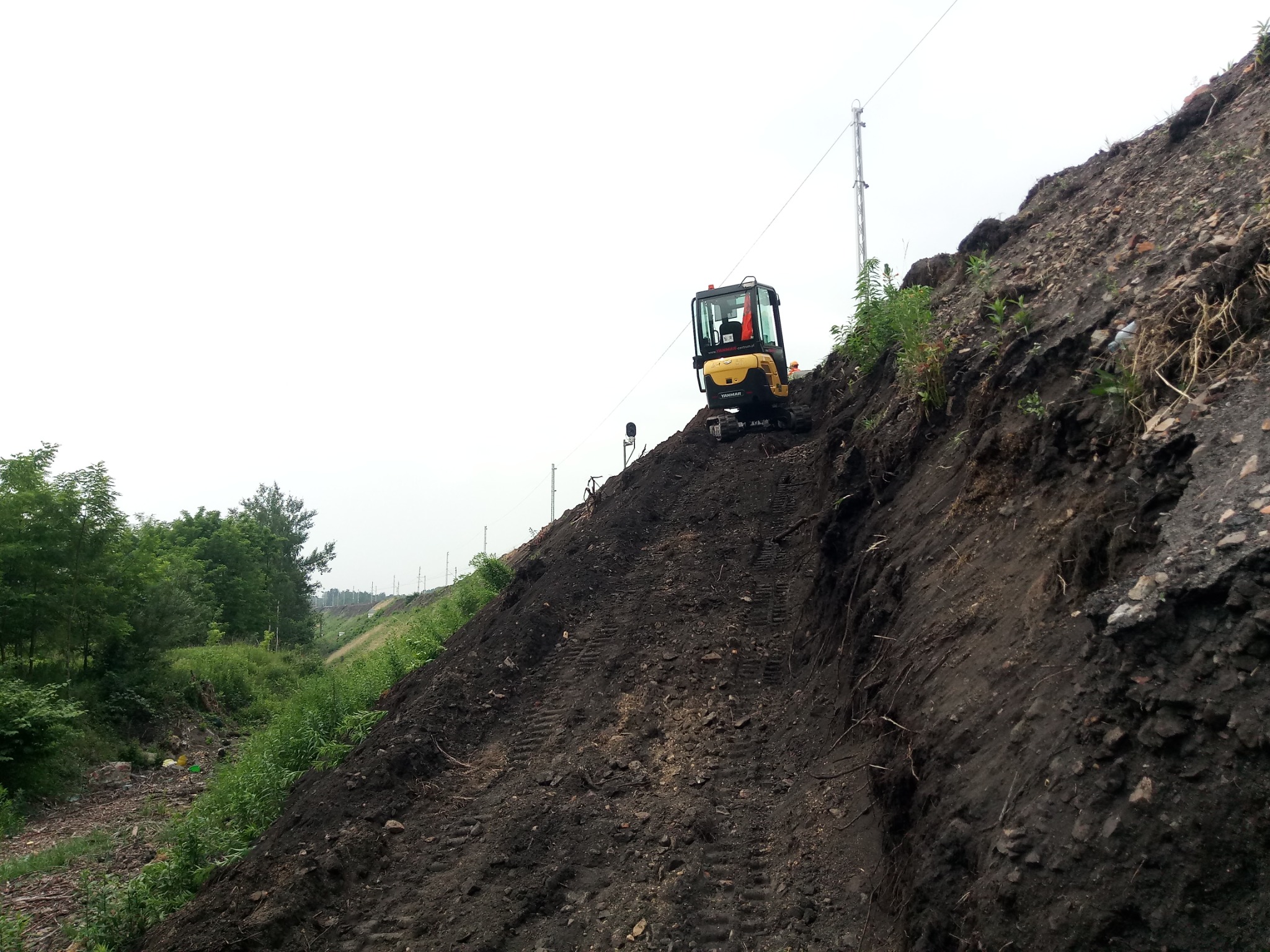 Żółta mini koparka Yanmar na stromej, ziemnej skarpie z widocznymi śladami gąsienic, w tle słup energetyczny i zieleń.