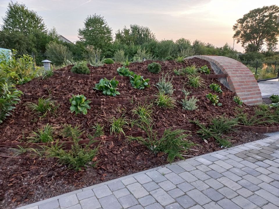 Uformowana skarpa obsadzona różnorodną roślinnością, w tym trawami ozdobnymi i niskimi krzewami iglastymi, wyłożona korą, z dekoracyjnym, ceglanym łukiem w tle i brukowanym chodnikiem na pierwszym...
