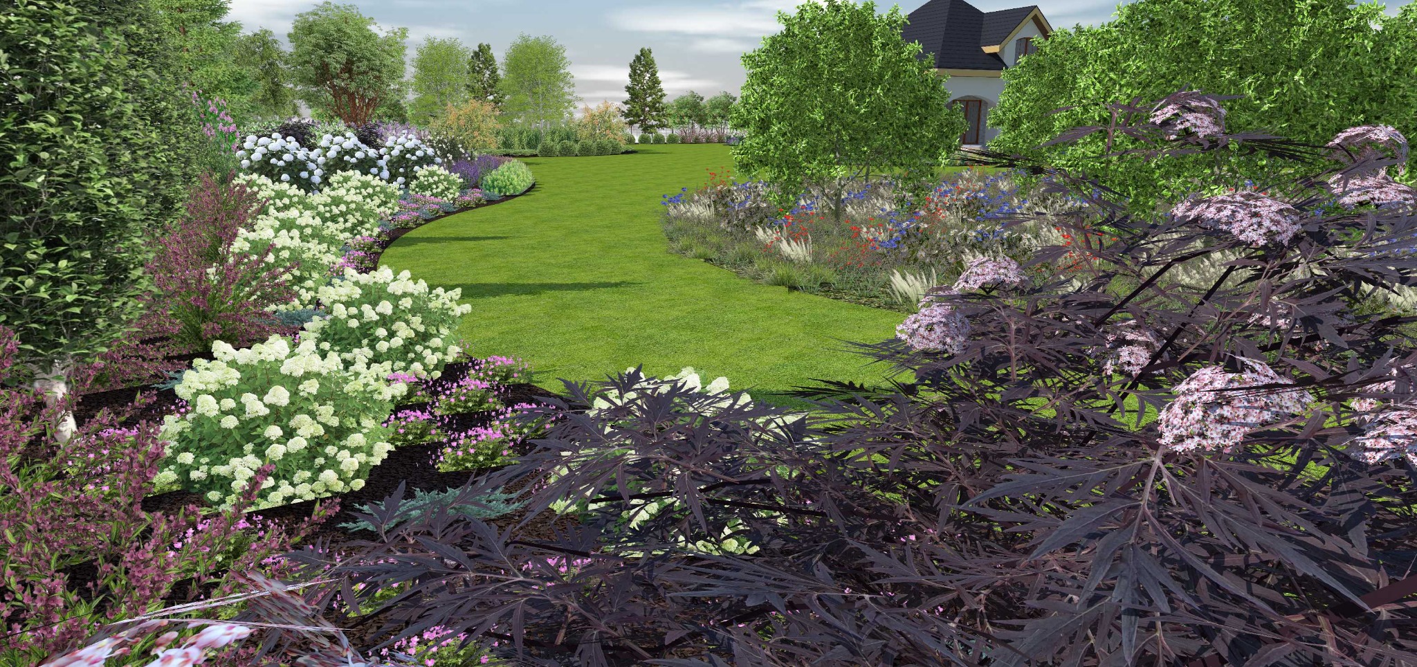 Wizualizacja ogrodu z krętą ścieżką trawnika, rabatami kwiatowymi z hortensjami, szałwią i czarnym bzem 'Black Lace' oraz domem w tle.