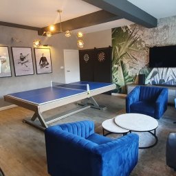 Oliwia Kalandyk Architektura Wnętrz - Wnętrze pokoju rekreacyjnego z stołem do tenisa, dartami, sofami z aksamitu w odcieniach niebieskiego i szarego, plakatami sportowymi i fototapetą z motywem tropikalnym.