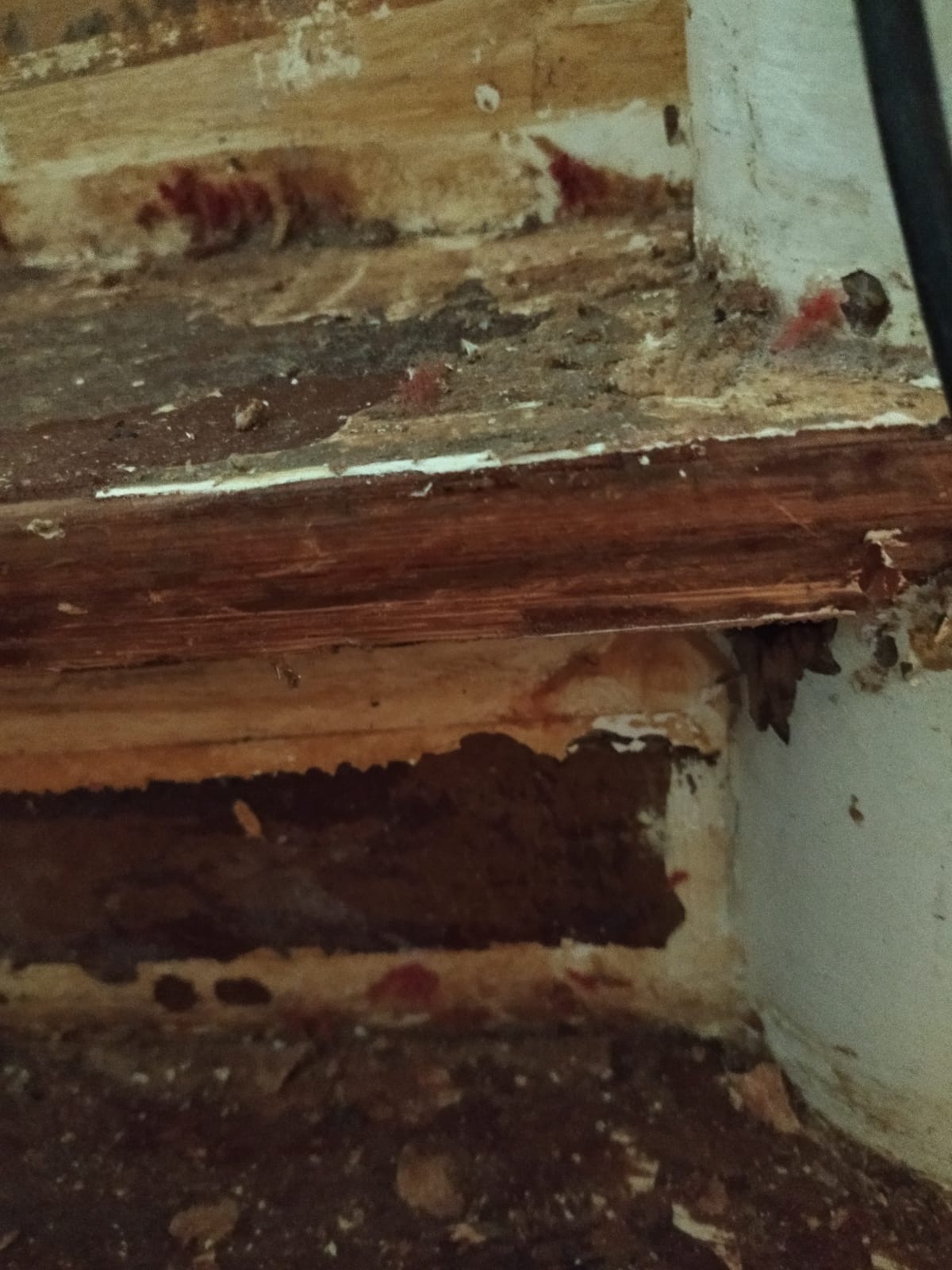 Fragment zniszczonej ściany w trakcie remontu, widoczne warstwy starej farby i tynku, uszkodzone narożniki i ślady po wcześniejszych naprawach.