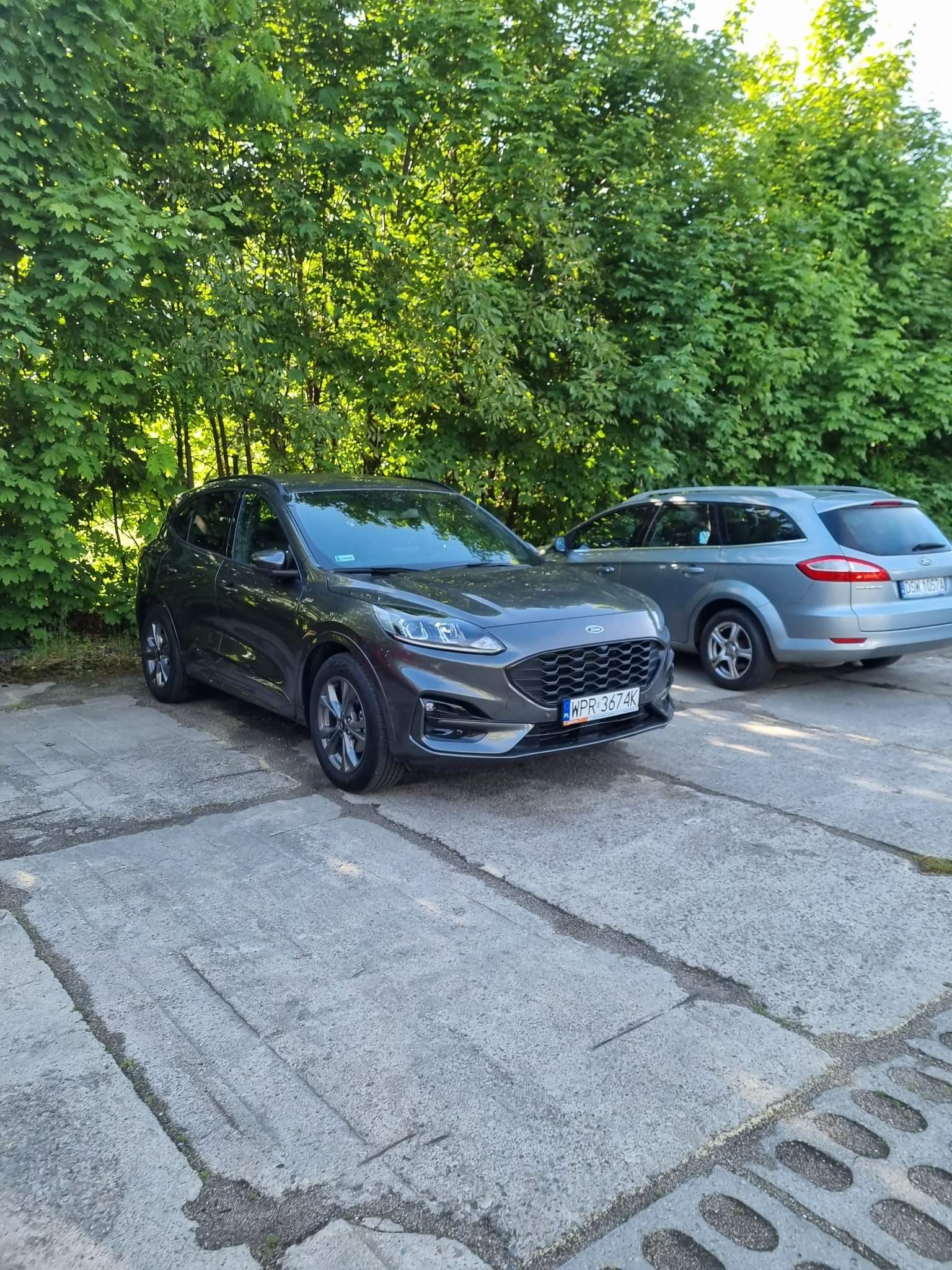 Dwa samochody Ford zaparkowane na betonowym placu, zieleń drzew w tle, widoczna tablica rejestracyjna ciemnoszarego Forda Kuga z przodu.