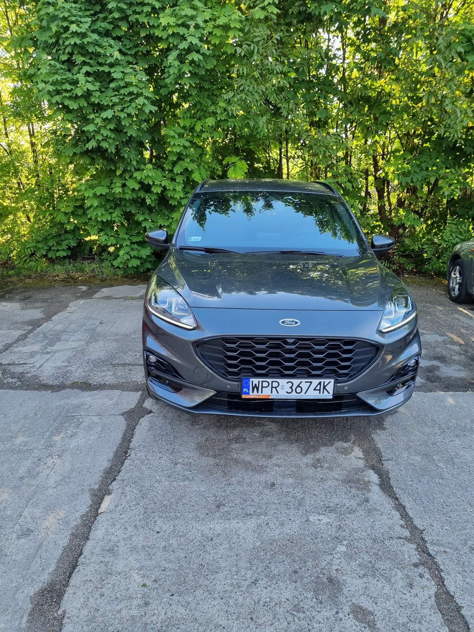 Szary Ford Kuga zaparkowany przodem na betonowym parkingu, z widoczną tablicą rejestracyjną WPR 3674K, na tle zielonych drzew.