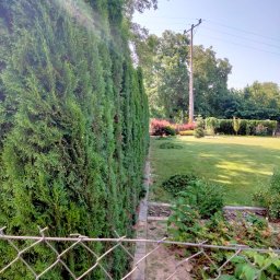 Pielęgnacja ogrodów Iwaniska 11