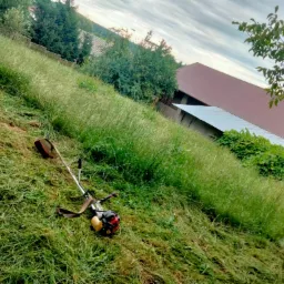 Spalinowa kosa leży na zboczu trawy, częściowo skoszonej, z widocznymi śladami cięcia, w tle budynki i drzewa pod pochmurnym niebem.