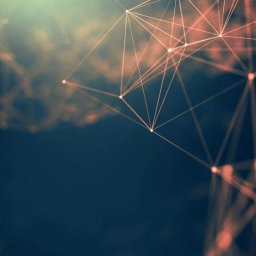 ESSE INTERNATIONAL Sp. z o. o.