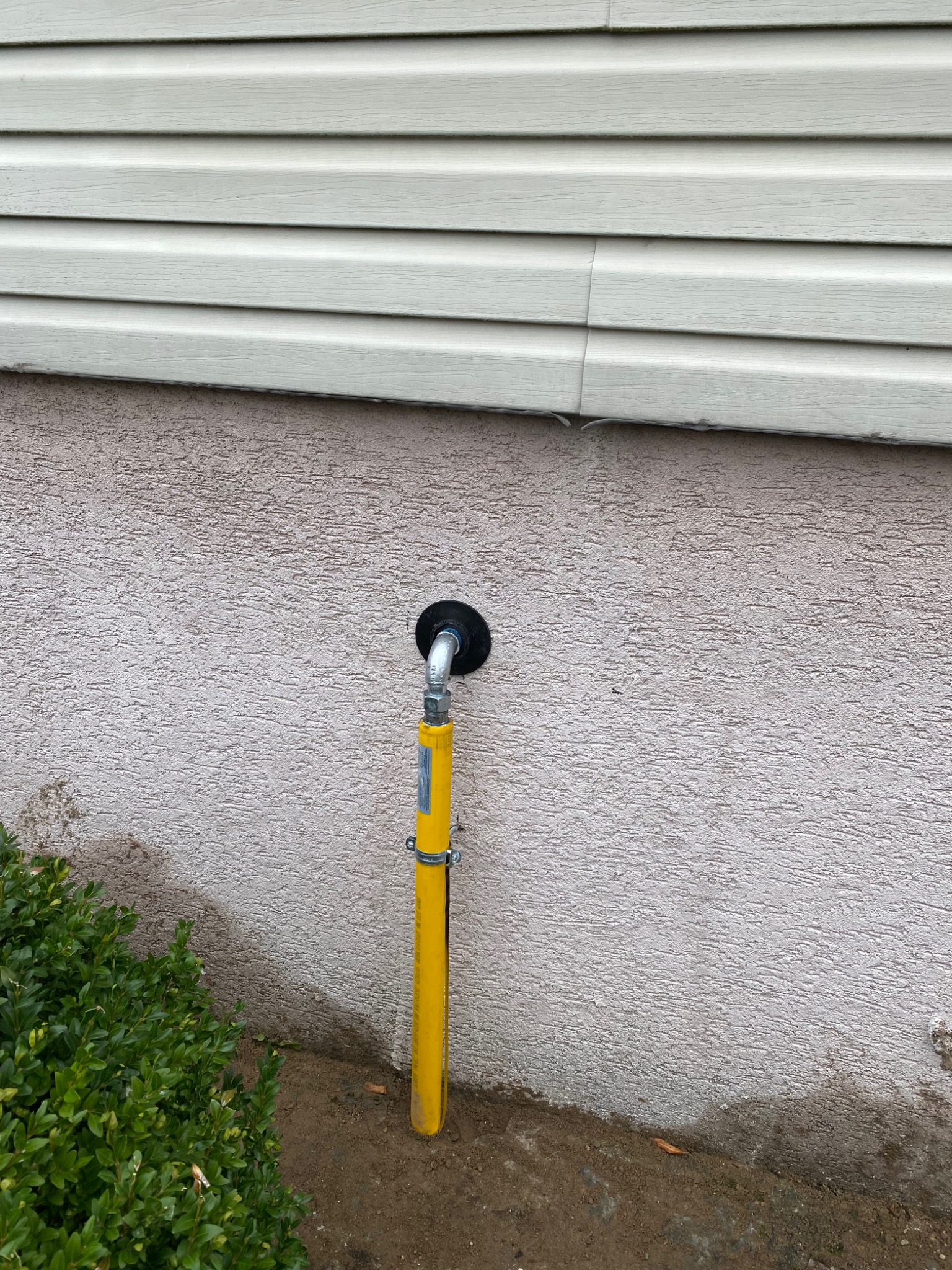 Żółta rura gazowa wystająca ze ściany domu z sidingiem, zabezpieczona czarną uszczelką, widoczna z poziomu gruntu obok krzewu.