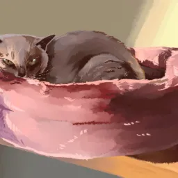 GIF wykonany w photoshopie