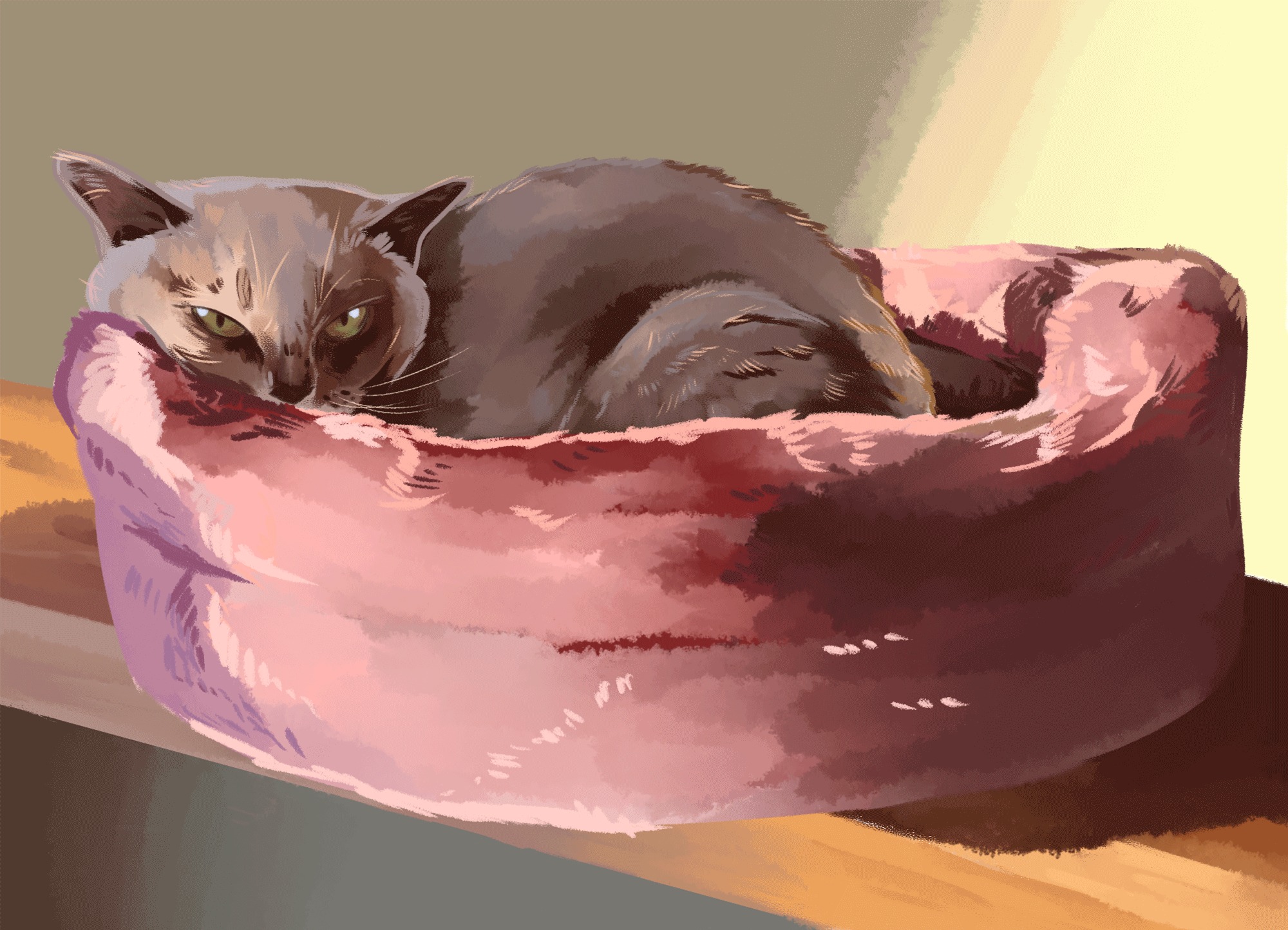 GIF wykonany w photoshopie