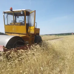 Żółty walec drogowy z otwartymi drzwiami kabiny, stojący na skraju pola zboża, z widocznym fragmentem drogi polnej i odległym krajobrazem wsi pod błękitnym niebem.