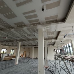 Płyta karton gips Święta Katarzyna 4