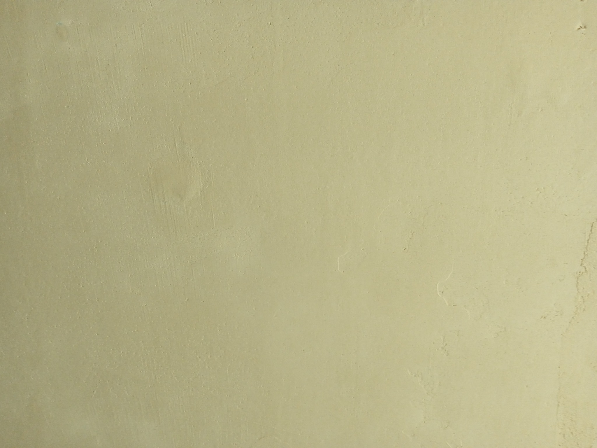 Świeżo pomalowana ściana w odcieniu ciepłego beżu, widoczne delikatne smugi po wałku i drobne nierówności powierzchni.