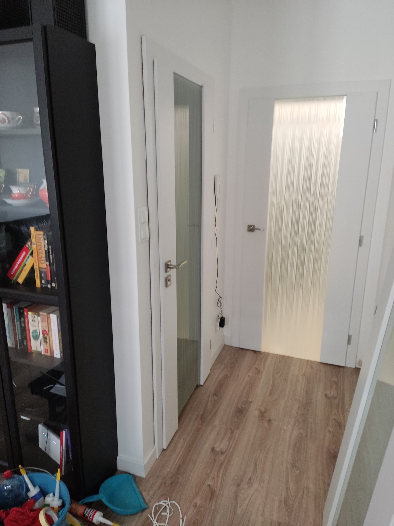 Dwa białe skrzydła drzwiowe z przeszkleniami w korytarzu, widoczna czarna witryna z książkami i akcesoriami do sprzątania w tle.